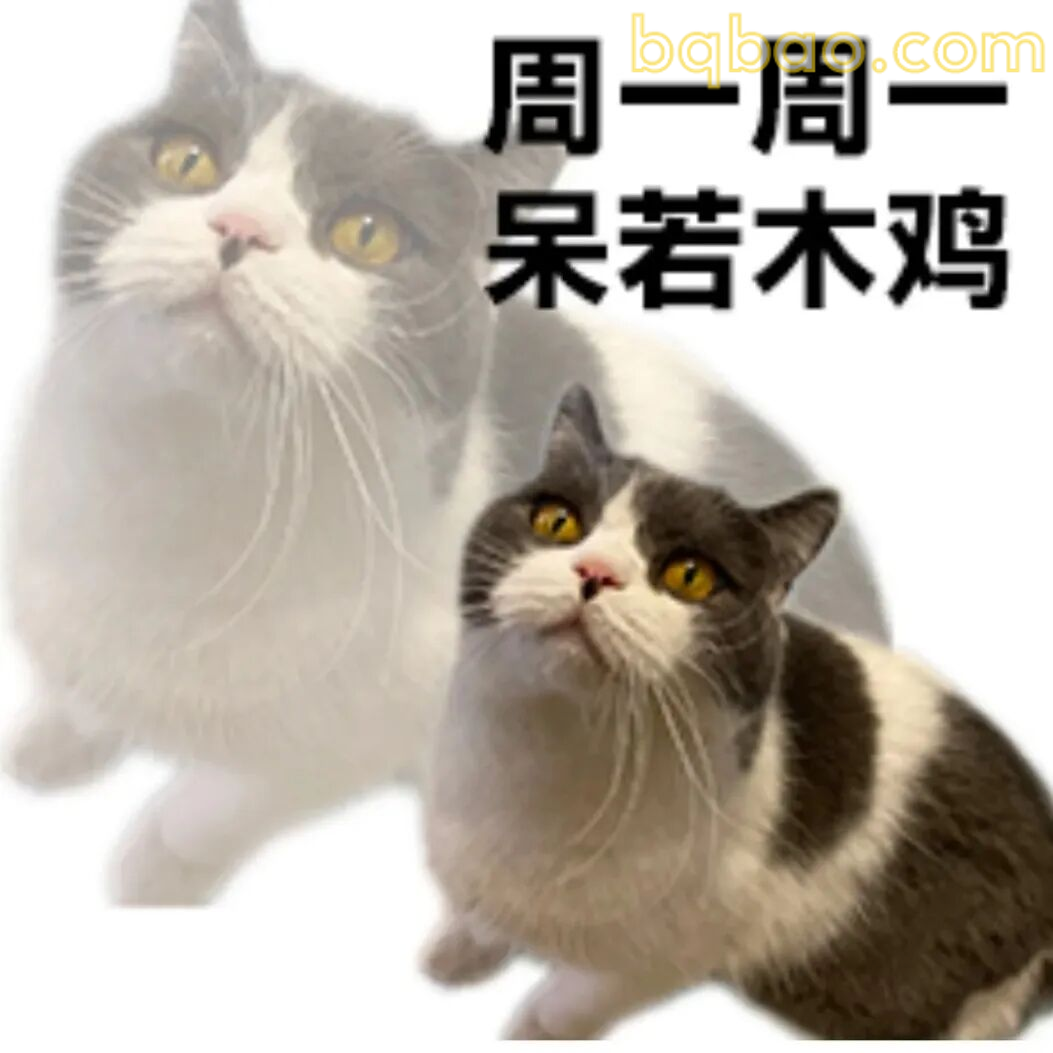 周一呆若木鸡