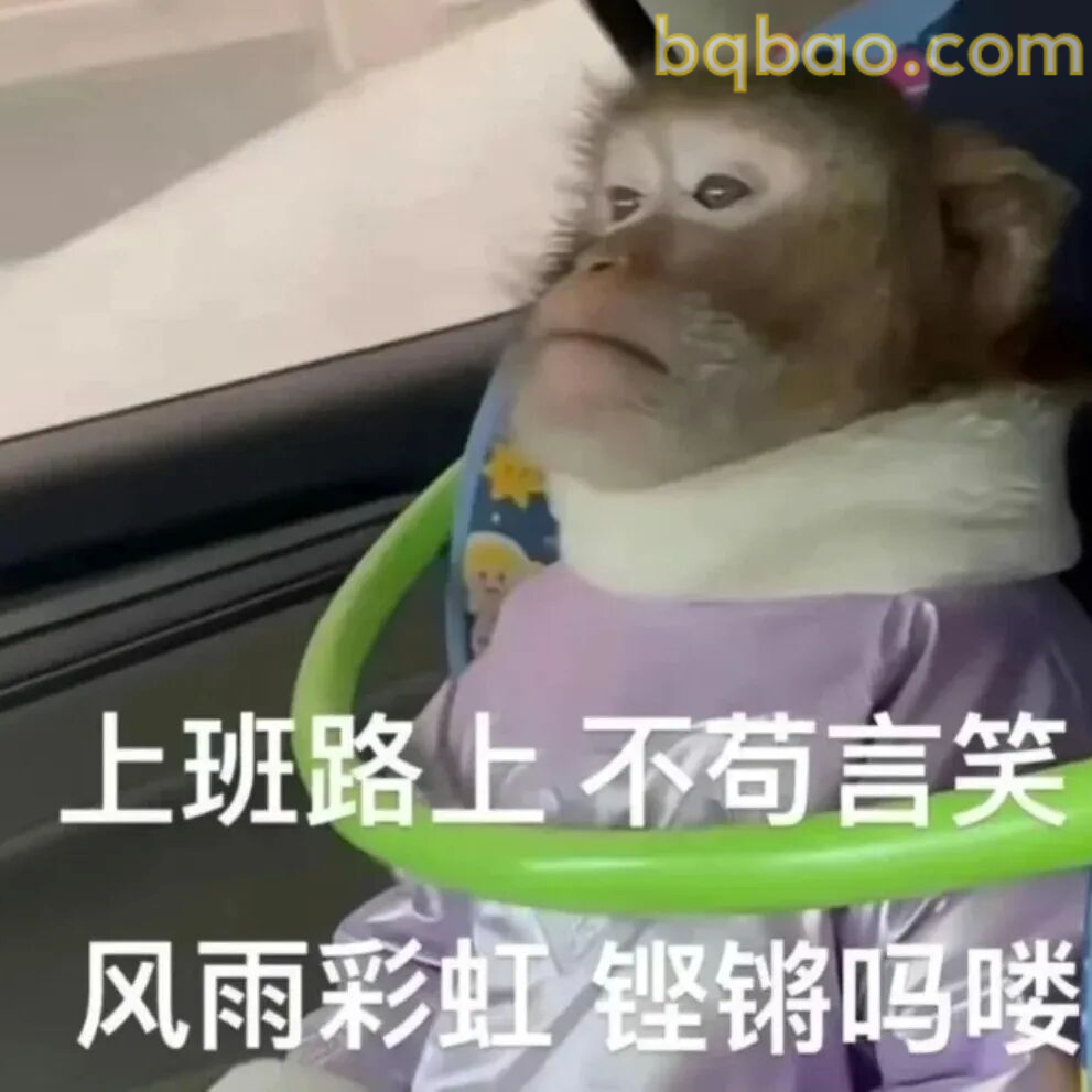 上班路上循环