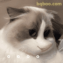 猫咪歪头杀