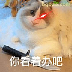 你看着办吧