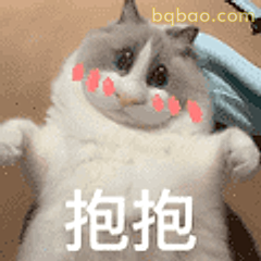 抱抱小猫咪