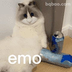 emo猫咪瘫坐