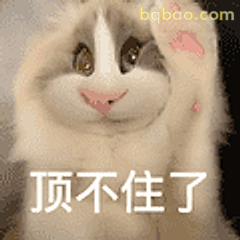 顶不住了猫咪