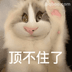 顶不住了猫咪