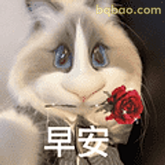 早安兔兔叼玫瑰