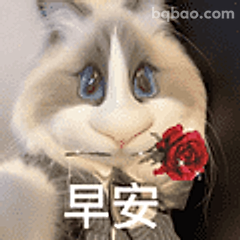 早安兔兔叼玫瑰