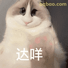 达咩猫咪拒绝表情