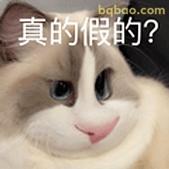 真的假的？