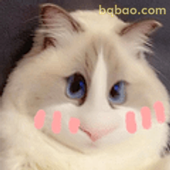 蓝眼小猫萌萌哒