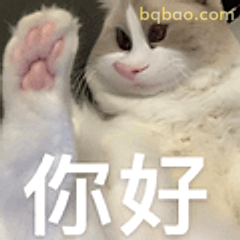 猫咪挥手说你好