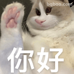 猫咪挥手说你好