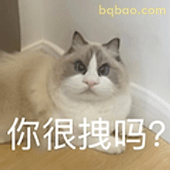 你很拽吗？