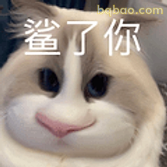 鲨了你