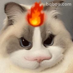 头顶冒火猫