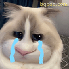 猫猫委屈哭唧唧