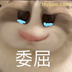 委屈巴巴小猫