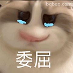 委屈巴巴小猫