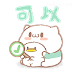 可以！小猫举牌