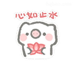 心如止水小猫