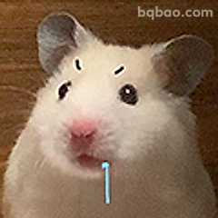 仓鼠歪头问号脸