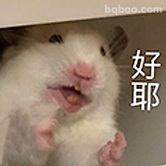 仓鼠好耶