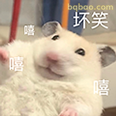 坏笑仓鼠