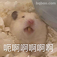 仓鼠啊啊啊尖叫