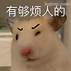 有够烦人的仓鼠