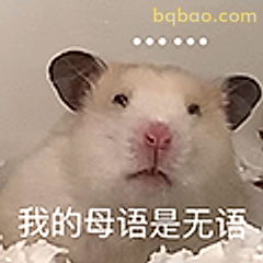 我的母语是无语