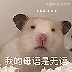 我的母语是无语