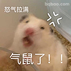 气鼠了怒气拉满