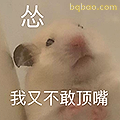 怂鼠不敢顶嘴
