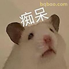 痴呆仓鼠表情包