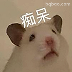 痴呆仓鼠表情包