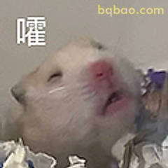 仓鼠嗷呜表情包