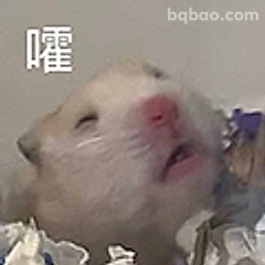 仓鼠嗷呜表情包