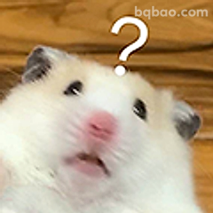仓鼠疑惑脸