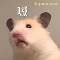 仓鼠喊你快看