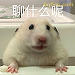 聊什么呢仓鼠