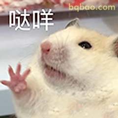 哒咩小仓鼠