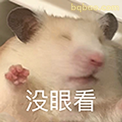 没眼看小仓鼠