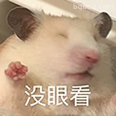 没眼看小仓鼠
