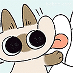 大眼猫猫懵圈了