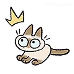 戴皇冠的惊讶猫