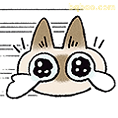 猫猫震惊脸