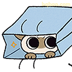 纸箱猫探头萌翻