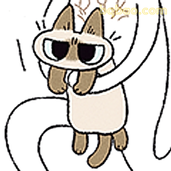 猫猫戴墨镜装酷