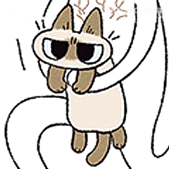 猫猫戴墨镜装酷