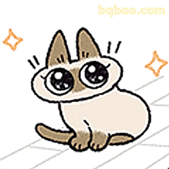 大眼萌猫坐姿
