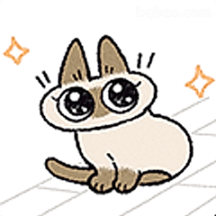 大眼萌猫坐姿